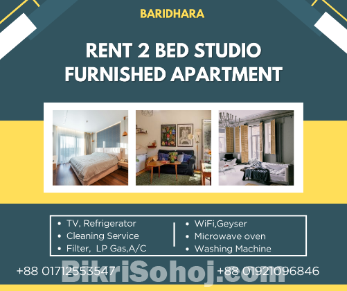 2-Bedroom Studio Furnished Apartment for Rent